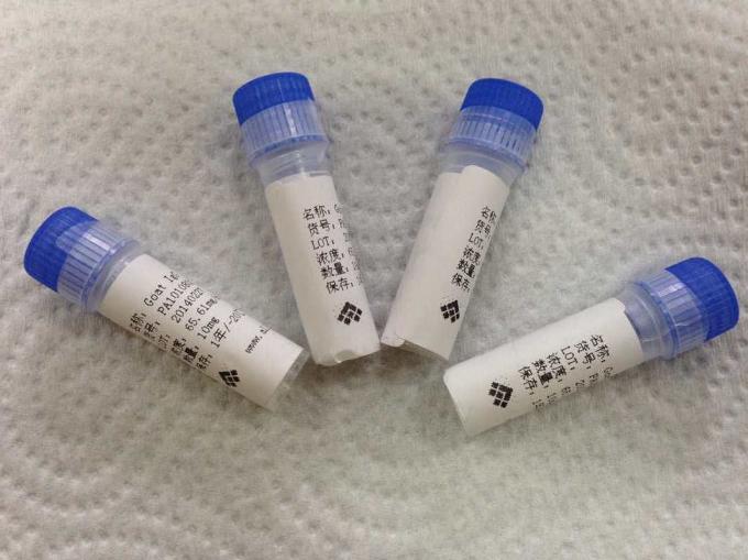 Anti - anticuerpos del ratón del anticuerpo monoclonal del hibridoma de Tetrahydrocannabinol
