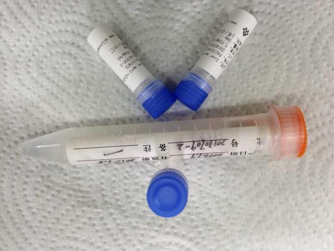Droga anti del anticuerpo del Mab Monoclone de la metanfetamina del ratón del abuso
