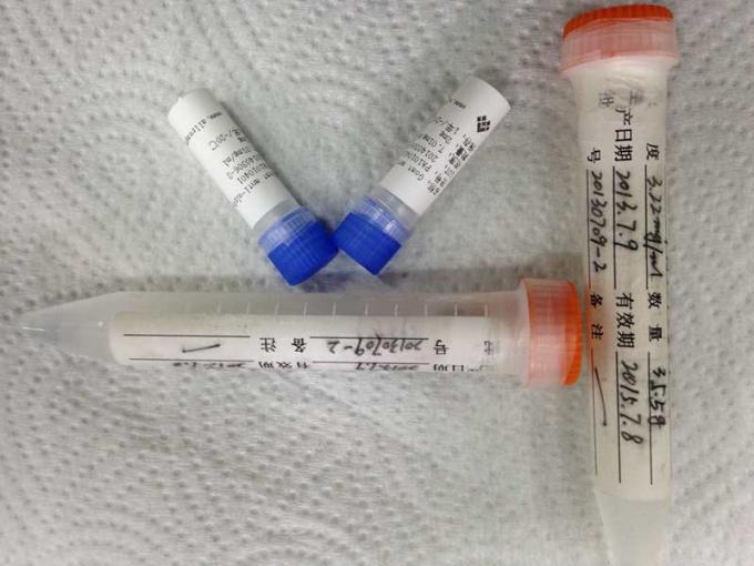 Ratón anti - cuerpo anti monoclonal de la anfetamina para el análisis de la FIA
