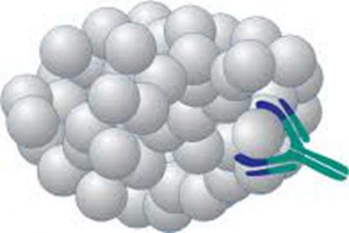 Droga de encargo del anticuerpo de Monoclone del antígeno anti-Methaqualonum del ratón de la investigación del forIVD del abuso