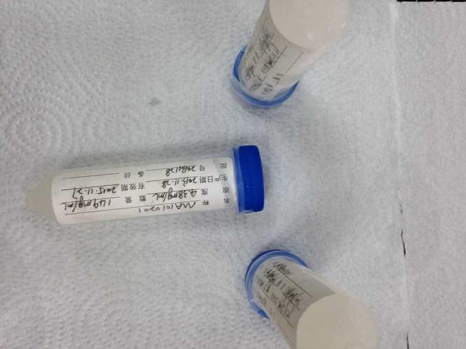 Proteína recombinante purificada O del VIH para la investigación y desarrollo del IVD