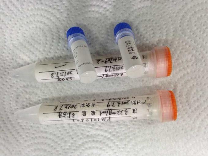 Anti médico - anticuerpo monoclonal del hibridoma alfa de HCG para la investigación del IVD