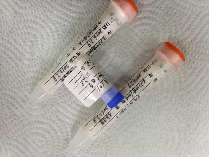 anti - ratón animal Mab 4.19mg/mL del anticuerpo de HBeAg Mab-1 Monoclone
