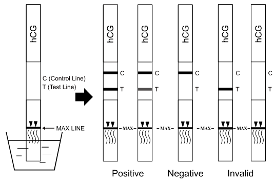 el uso de la prueba del microglobul β2 con la sangre entera humana /serum /plasma por Fiatest VA analizador del immunoensayo de la fluorescencia