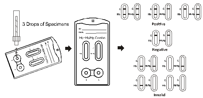 Hb/HP - equipos de prueba de diagnóstico rápidos del casete rápido combinado de la prueba de la Hb exactos y alta sensibilidad con CE