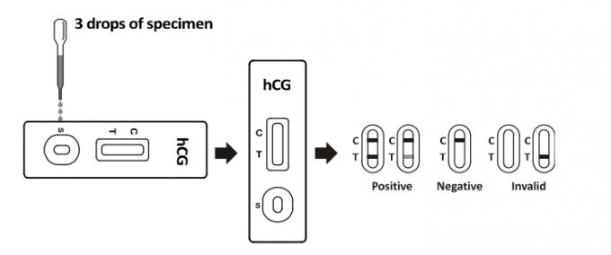 Tira de prueba rápida de embarazo del paso de los equipos HCG uno de la prueba del hogar/del hospital