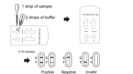 Casete rápido combinado de la prueba del anticuerpo de Fiv + del antígeno de Felv, equipos rápidos de la prueba de droga