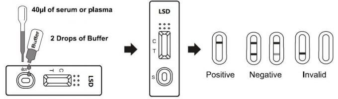 Immunoensayo cromatográfico de drogas de Diethylamide de ácido lisérgico de la tenencia ilícita del equipo rápido de la prueba en la sangre entera /Serum/Plasma