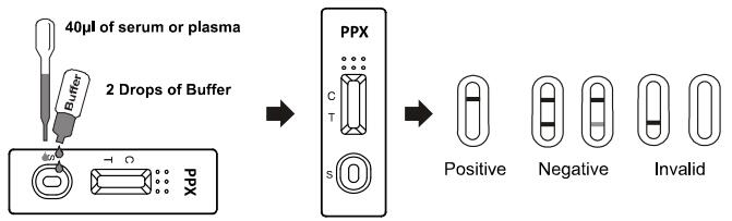 La tenencia ilícita de drogas de /serum /plasma de la alta sangre entera de la sensibilidad y de la especificidad 300ng/ml PPX prueba al OEM del equipo PPX