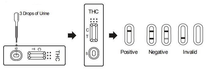 Ayuna la solas tira de prueba de la orina conveniente de la marijuana THC THC/droga del equipo de la prueba del abuso