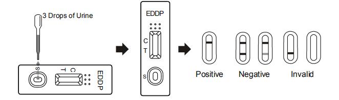 Prueba rápida para la detección cualitativa del ácido EDDP de la etilenediamina-dimethylphosphinic en orina humana