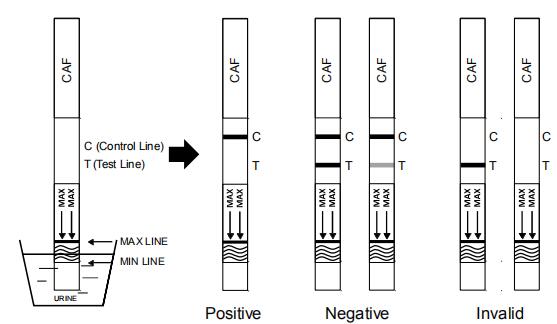 casete de la prueba de la tenencia ilícita de drogas de la aprobación del CE de 1000 ng/mL/varilla graduada/prueba rápida del equipo del panel para la detección cualitativa del cafeína