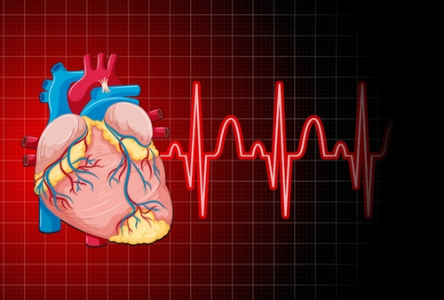 Latest company news about Recuperación de un ataque del corazón: ¿Muerte del músculo de la poder fuera invertido?
