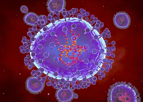Latest company news about Los casos de HMPV aumentan en el 36% en 2023: Metapneumovirus humano en la subida