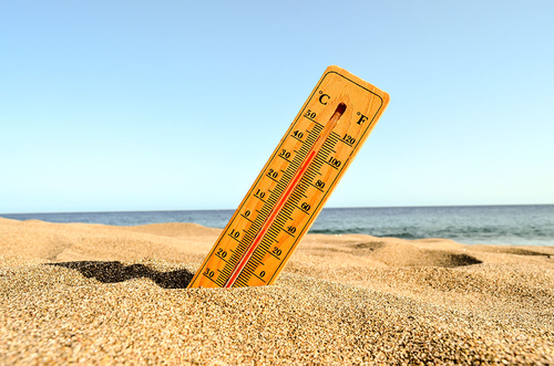 Latest company news about El calor está encendido: el aumento de las temperaturas trae consigo riesgos para la salud