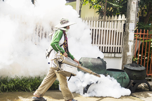 Latest company news about Lo que hay que saber sobre el dengue a medida que los casos se extienden a otros lugares