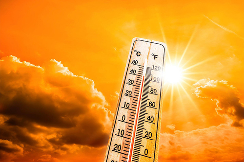 Latest company news about Navegando por los peligros de las olas de calor