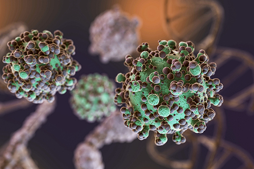 Últimos blogs de la empresa sobre Virus Oncogénicos: La Amenaza Oculta para la Salud Pública