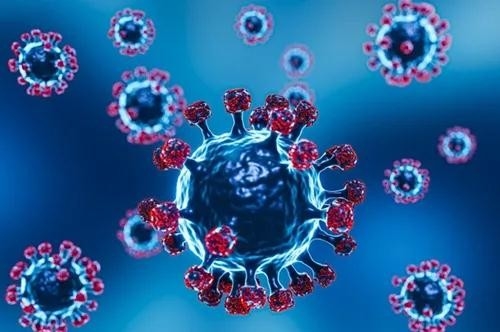 Últimas noticias de la empresa sobre El WHO es ciencia en 5 en COVID-19: ¿Porqué expertos se tratan sobre Omicron?