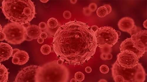 Latest company news about Más de 100 confirmados o los casos sospechosos del monkeypox se han divulgado en 12 países, incluyendo los E.E.U.U.