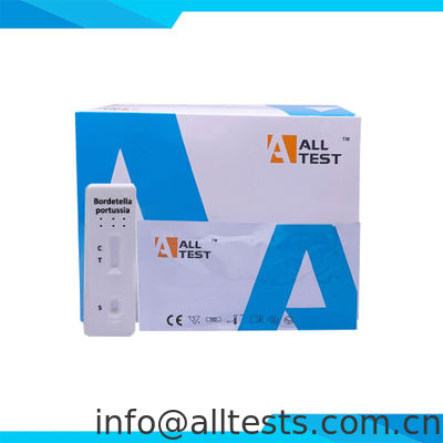 Un buen precio. IBP-502 -- Prueba Rápida de Antígeno de Bordetella pertussis (Hisopo Nasofaríngeo) en línea