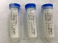 Custom Mouse anti- beta HCG Mab Hybridoma Monoclonal Antibody