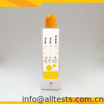 Good price Kit de pruebas de diagnóstico rápido para el CPV CCV Giardia Lamblia en heces Uso veterinario en línea