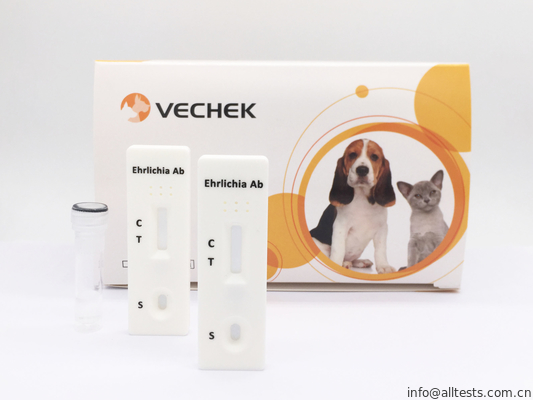 Good price Casete rápido de la prueba del anticuerpo del Canis de Ehrlichia, análisis de sangre rápido fácil de utilizar en línea