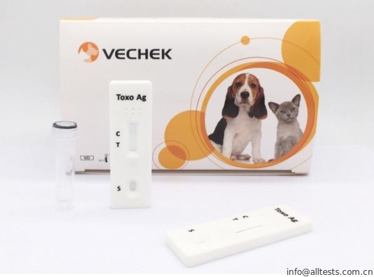 Good price Una larga vida rápida canina de la prueba Gondii AG del toxoplasma de la prueba del análisis del paso en línea